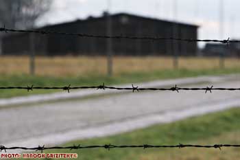 IMG_ (10810)